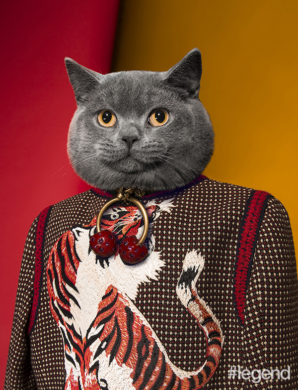 Outfit by Gucci